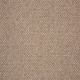 Nourison Carpets
Berber